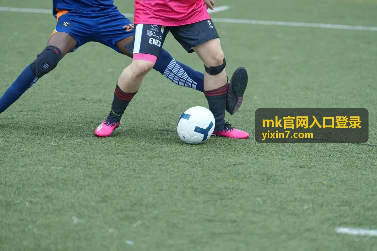 mk官网入口登录后的登录操作步骤说明
